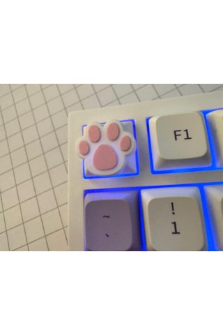 Kedi Patisi Keycap 3 Lü Set Sevimli Tuş Başlığı Cherry Mx Uyu