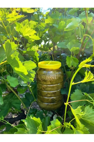 Tokat Salamura Asma Yaprağı 3 Kg.