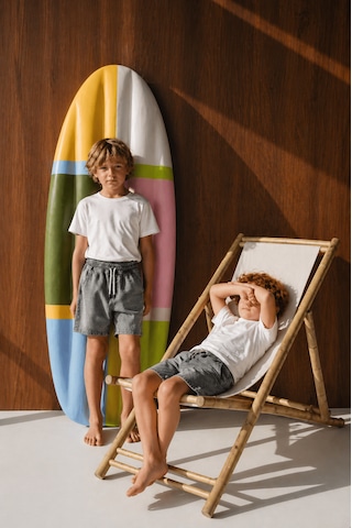 Baby Lory Kids Store Erkek Çocuk Yıkamalı Şort Antrasit-Gri