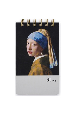 Episode Küçük Spiralli Gallery 100 Yp. Defter - Vermeer Pearl Earring Çok Renkli