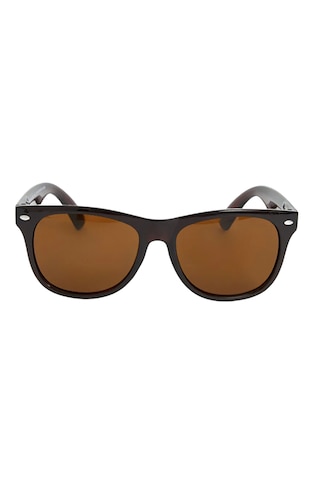 Carmelo Eyewear C01gk022 Polarize Kahverengi Kadın Güneş Gözlüğü
