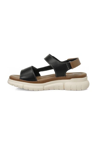 Polaris 105798.z Siyah Kadın Comfort Sandalet 105798.z6fx 000000000102250530