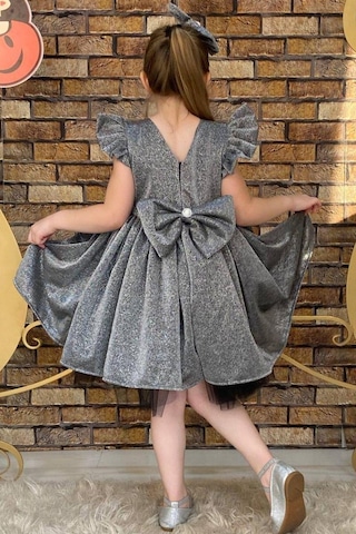 Riccotarz Kız Çocuk Parıldayan Gümüş Elbise 220210303 Gümüş