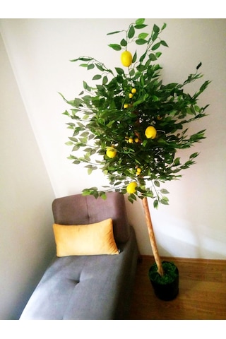 Yapay Sarı Limon Ağacı 1.70 Mt Boy Büyük Meyveli Gerçek Görünümlü
