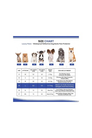 Patibon Su Geçirmez Köpek Botu 4 Lü Set - Yansıtıcı Şeritli & Kaymaz Taban S 2 Beden Siyah