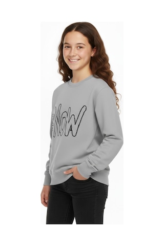 Kız Çocuk Baskılı Sweatshirt Bgl-st05267 Gri