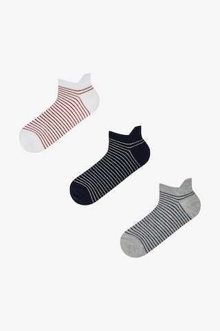 Penti Erkek Renkli Color Stripe 3 3'lü Patik Çorap