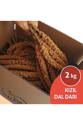 Kızıl Dal Darı 2 KG