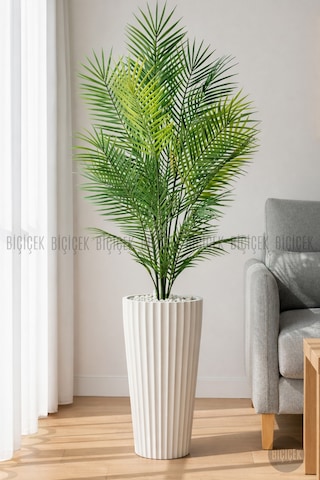 Biçiçek 160 Cm Areka Ağaci 24 Yapraklı Beyaz Li̇lyum Saksıda