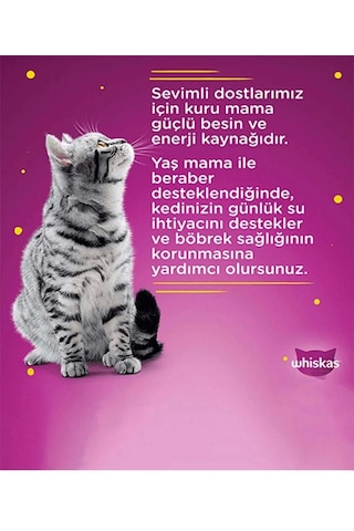 Whiskas Junior Tavuklu Yavru Kedi Maması 300 Gr 2 Adet