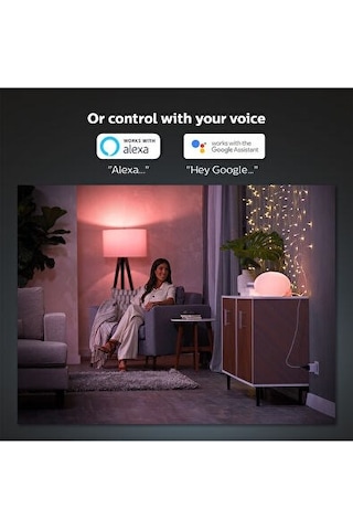 Philips Hue 1x Smart Plug Akıllı Priz