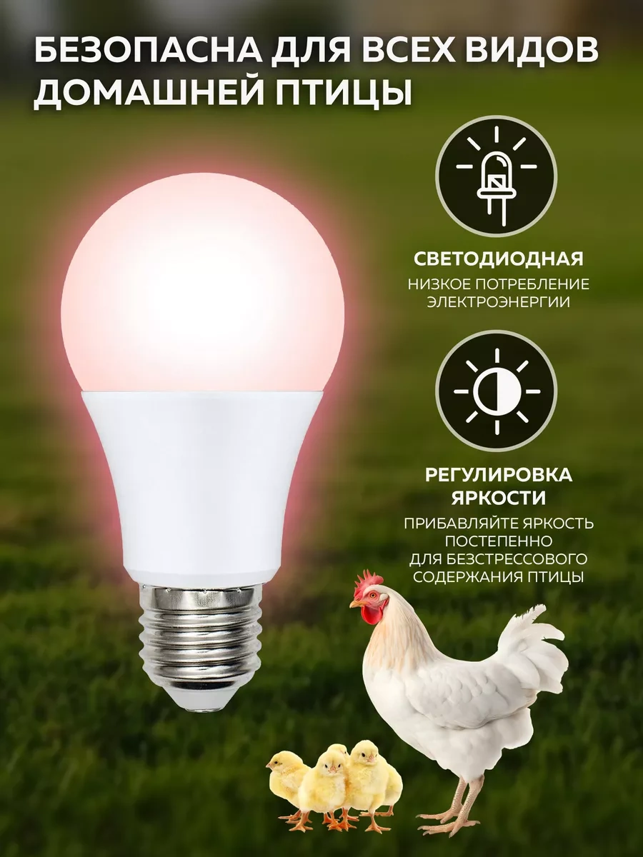 Uniel 9w Kuşlar İçin Led Lamba 9950923