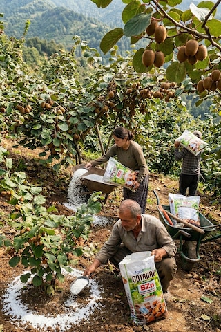 Agroplant Çotanak Bzn Gübre 10 Kg