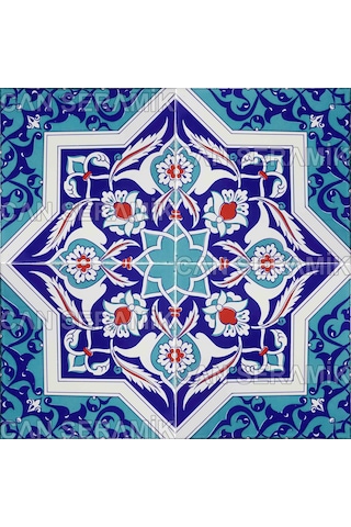 Can Seramik – 20x20 Cm. Cç-49 Kütahya Çini Karo 5' Li 1 Paket