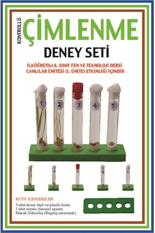 Çimlenme Deney Seti Okul Proje Fen Ödev Deneyi