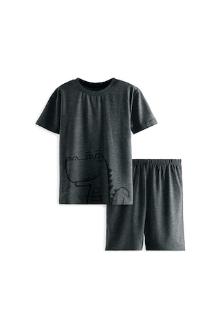 Denokids Dinozor Erkek Çocuk Gri Alt Üst Pijama Takım Renkli Çok Renkli