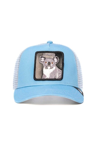 Goorin Bros Şapka - The Slumped Koala Mavi