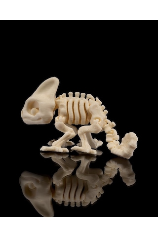 Hareketli Bukalemun İskeleti Oyuncak-143