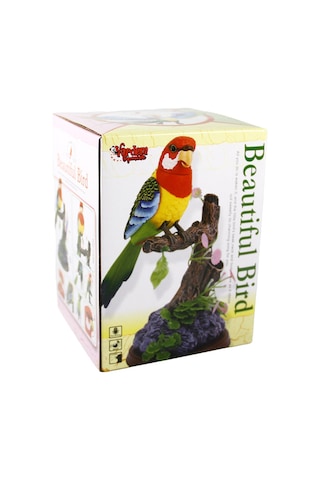 Vardem Kutulu Kalemlikli Papağan