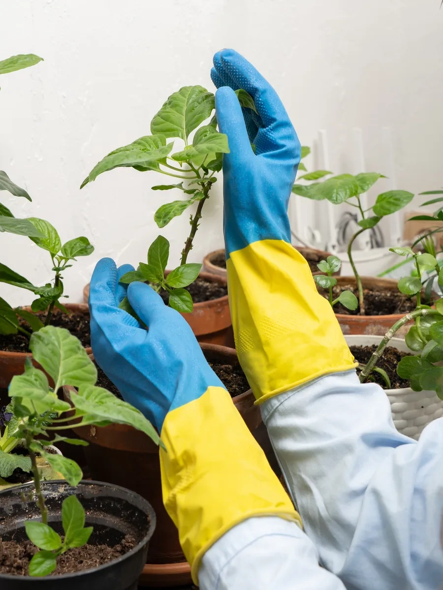 Mainstream Home Temizlik Ve Ev İşleri İçin Lastik Temizlik Eldivenleri, Bicolor Lateks. 341551270