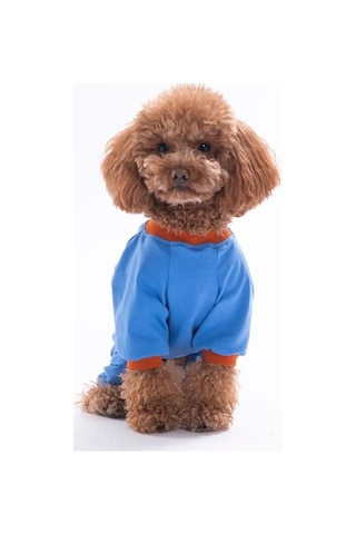 Pawstar 26901 Mavi Ducks Küçük Irk Köpek Pijama Tulum