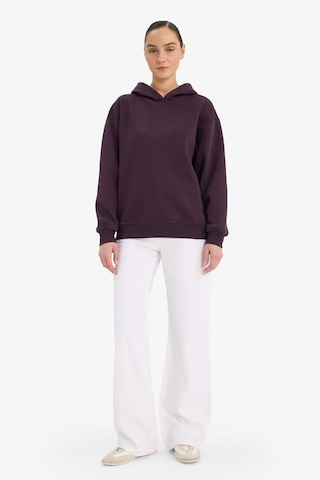 Defacto Relax Fit Kapüşonlu Basic Düz Kalın Sweatshirt D9935ax25wnpr38 Mor-pr38
