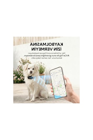 Hayvan , Kedi Ve Köpekler İçin Tag Tasma