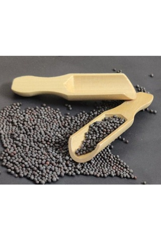 12 Adet Mini Kürek Baharat Kaşığı Bej Bej