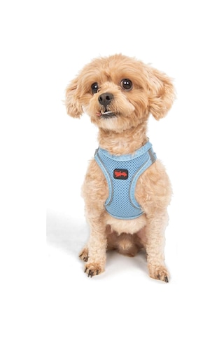 Air-mesh Küçük Ve Orta Irk Kedi Köpek Göğüs Tasması - Yumuşak, Nefes Alabilir, Dayanıklı Mavi, 2xs Genel