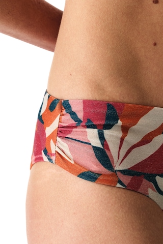 Penti Renkli Brayana Büzgülü Bikini Altı