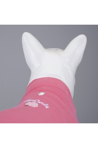 Flex Cotton Candy Küçük Ve Orta Irk Köpek Tshirt