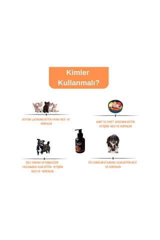 Pet Trust Herbal Pet Care Organik Somon Yağı 100 ML