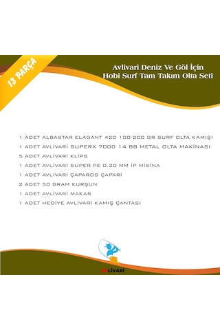 Albastar Elagant 420 Cm 100-200 Gr Avlivari Superx Tam Takım Hobi Surf Olta Seti-9596
