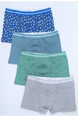 Toontoy Erkek Çocuk Hayvan Figürlü 4lü Paket Boxer Çok Renkli