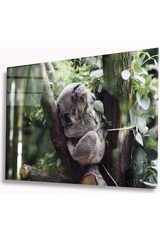 Koala Cam Tablo Evlika 4mm Dayanıklı Temperli Cam