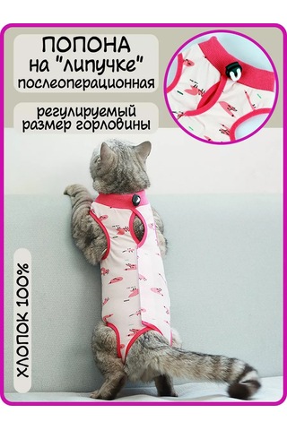 Best Golden Monkey Kediler İçin Ameliyat Sonrası Örtü 234194415