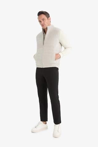 Defacto Slim Fit Dar Kesim Dik Yaka Astarlı Fermuarlı Cepli Mevsimlik Baharlık Süet Yelek F0246AX25AU Gri