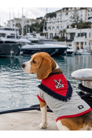 Alphadog Sailor Küçük Irk Köpek T-shirtü