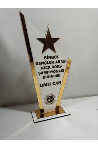 Plaket Karete/boks/judo/muay Thai/kick Boks Turnuvaları Altın