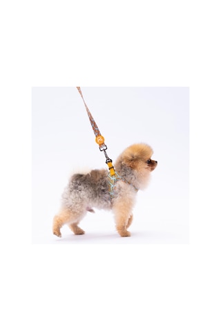Pawstar Pizza Leash Kedi Köpek Sevk & Gezdirme Kayışı Köpek Uzatma Tasması Sarı