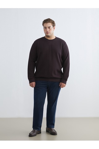 Lcwaıkıkı Classic Mürdüm Bisiklet Yaka Erkek Sweatshirt