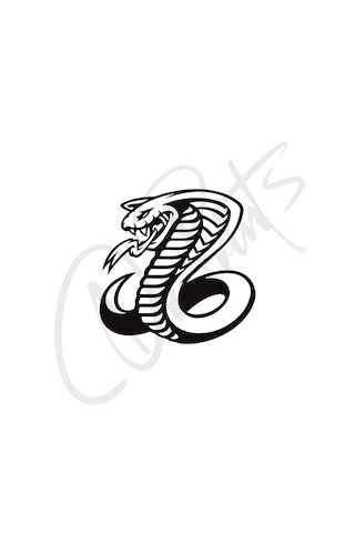 Araç Sticker Otomobil Motosiklet Özelleştirme 03