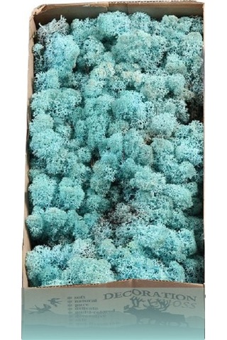 Reindeer moss AQUAMARİNE(TURKUAZ) şoklanmış norveç yosunu