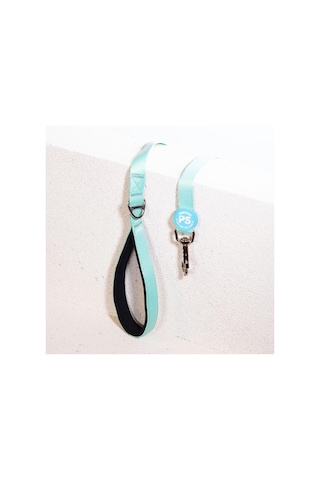 Pawstar Mint Leash Kedi Köpek Sevk & Gezdirme Kayışı Köpek Uzatma Tasması Mint