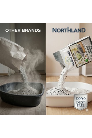Northland Doğal Bentonite- Süper Topaklanan Aktif Karbonlu Kedi Kumu 10 Lt X 2 Adet