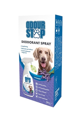 M-pets Koku Giderici Lavantalı Köpek Deodorantı 500 Ml 244-43004.01