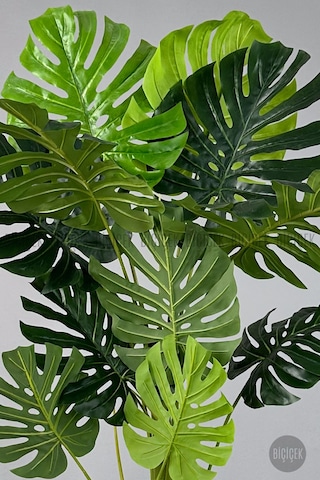 Biçiçek Yapay Monstera Ağacı Deve Tabani 200 Cm Beyaz Li̇lyum Saksıda