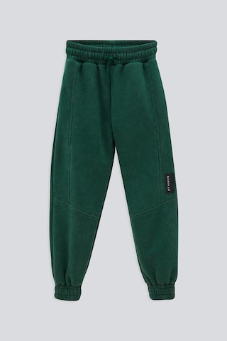 (KIDS BOY) STRIKE WASH JOGGER KOYU YEŞİL Yeşil
