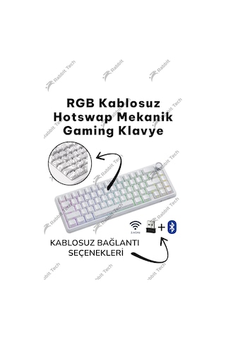 Black Gradiant Rgb Kablosuz Hotswap Mekanik Gaming Klavye Oyuncu Klavye