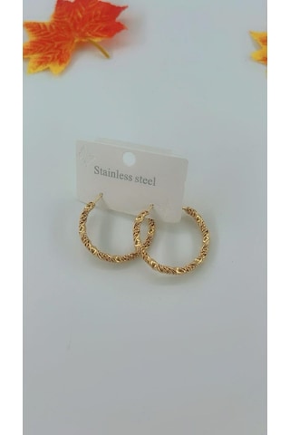 Kadın Burgu Tasarım Çelik Küpe Golg Renk Altın